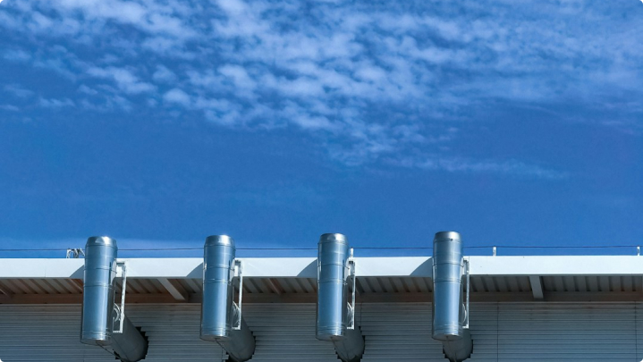 Tech Industry Reports Rise in Ipsum-Based Startups