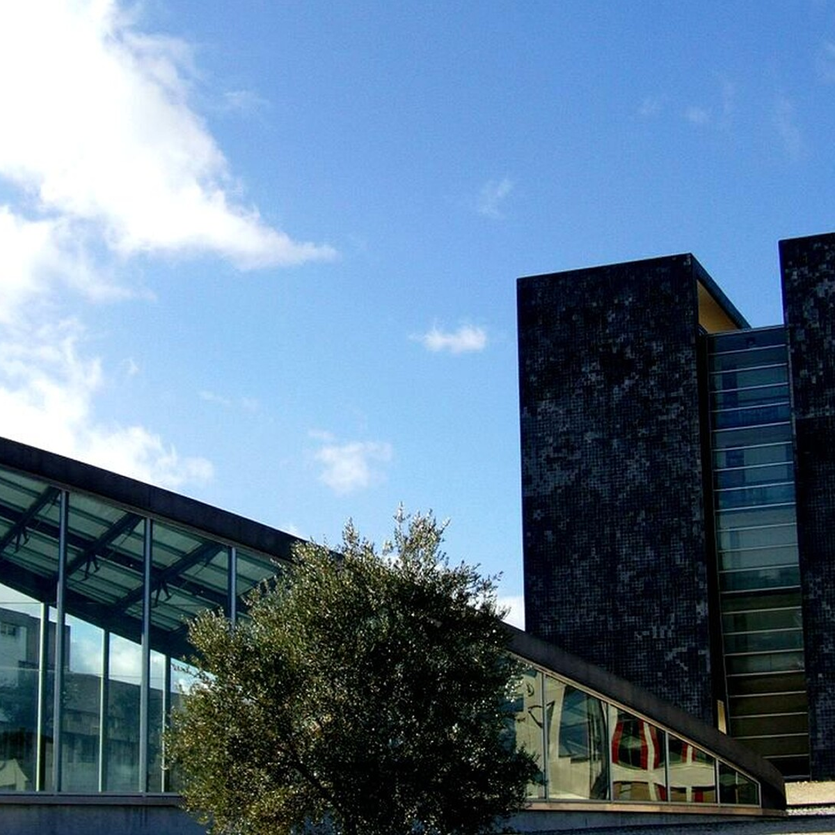  Faculdade de Medicina Dentária da Universidade de Lisboa