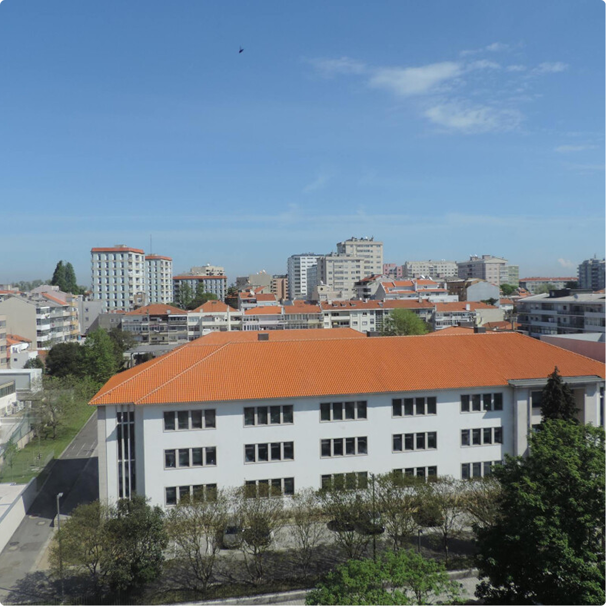 AVAC -  Escola Secundária Aurélia de Sousa