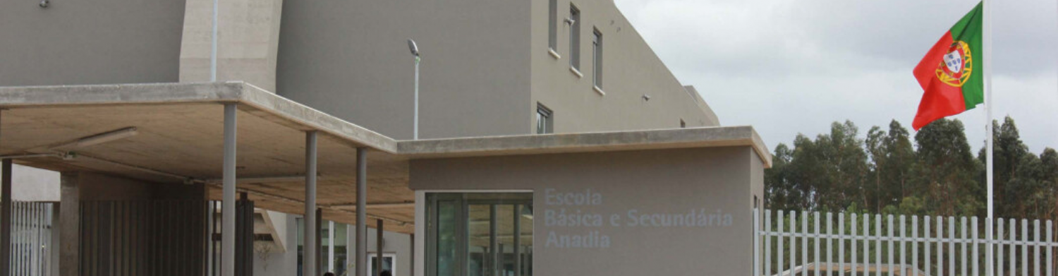 AVAC -  Escola Primária e Secundária da Anadia